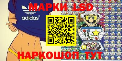крисы Бийск