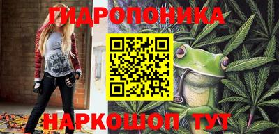 крисы Бийск